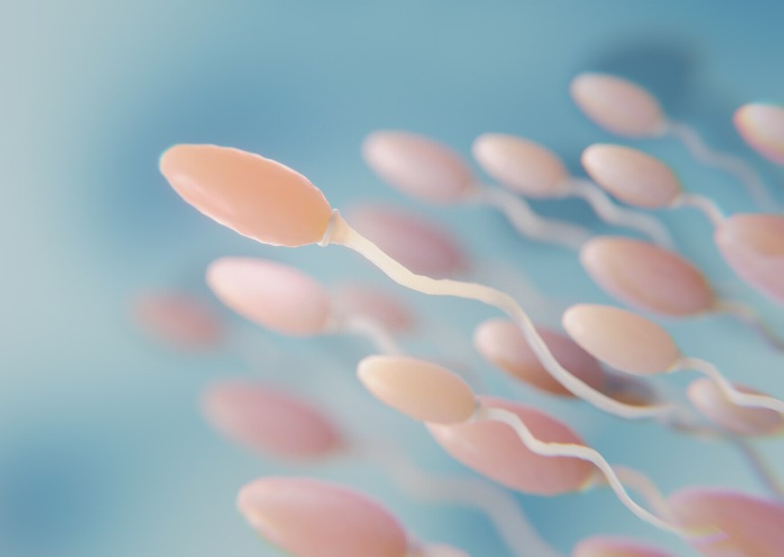 Спермограмма